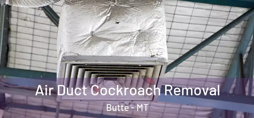  Air Duct Cockroach Removal Butte - MT