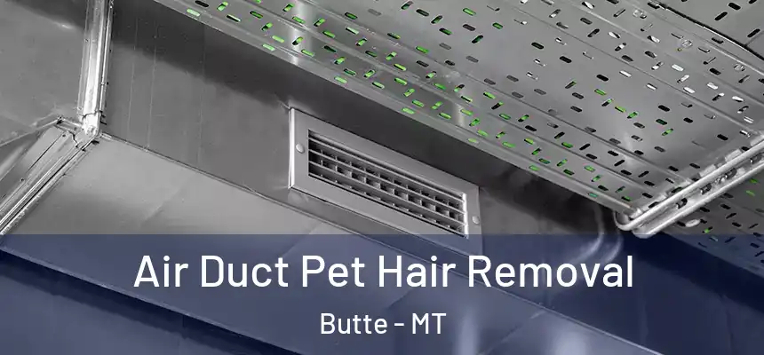  Air Duct Pet Hair Removal Butte - MT