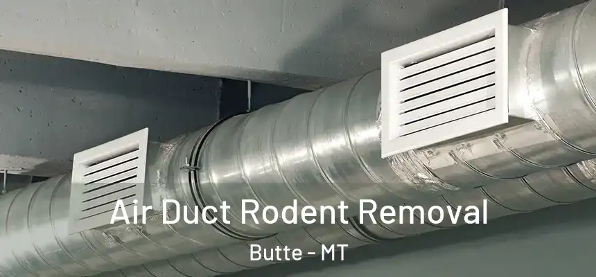 Air Duct Rodent Removal Butte - MT
