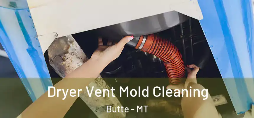 Dryer Vent Mold Cleaning Butte - MT
