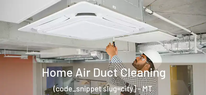  Home Air Duct Cleaning (code_snippet slug=city] - MT