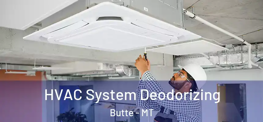 HVAC System Deodorizing Butte - MT