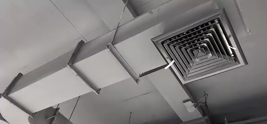 Restorative Allergy Relief Vent Cleaning – Coil, Blower & Housing Detail in Butte