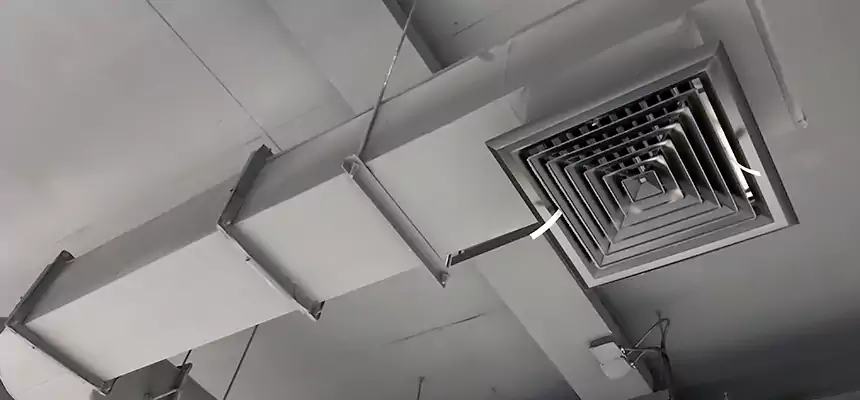 Our Pest Removal From Ducts Services in Butte, MT