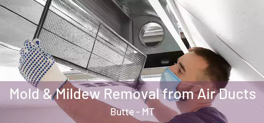  Mold & Mildew Removal from Air Ducts Butte - MT