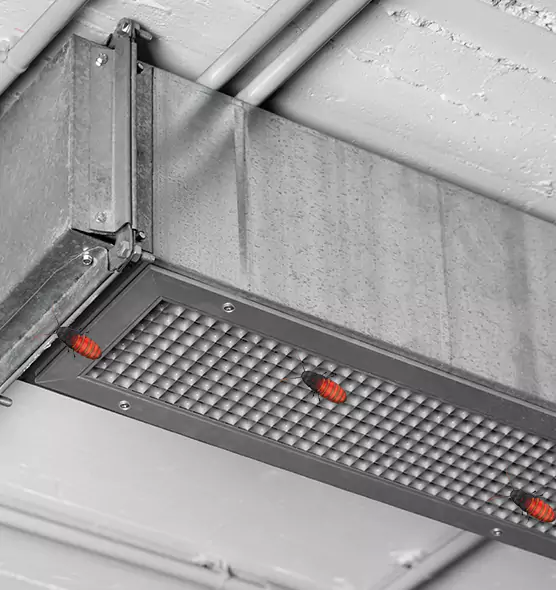 About Air Duct Cockroach Removal in Butte, MT
