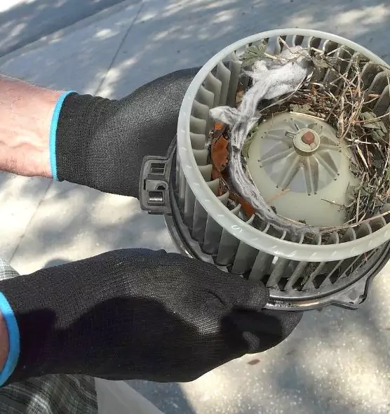 About Air Duct Mice Removal in Butte, MT