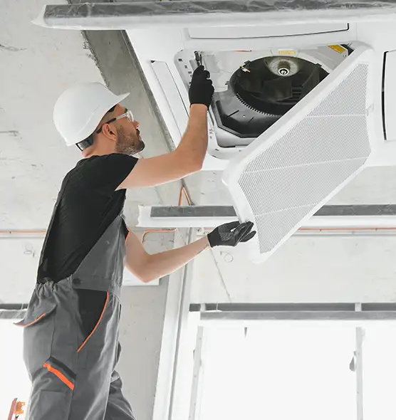 About Air Duct Rodent Removal in Butte, MT