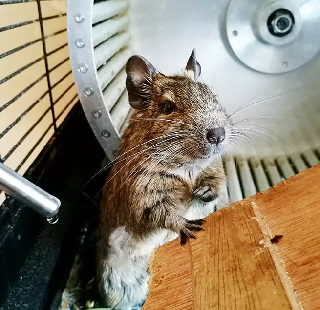 Why Homeowners & Businesses Trust Us Butte, MT