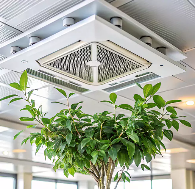 Why Homeowners & Businesses Trust Us in Butte, MT?