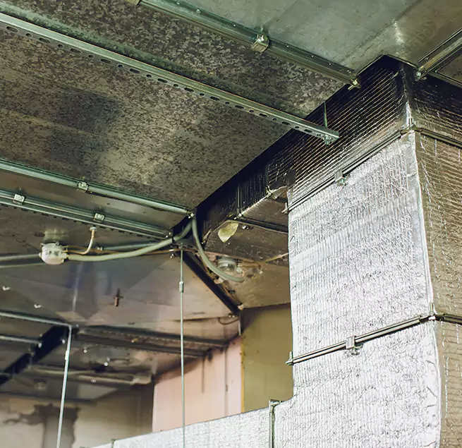 Why Homeowners & Businesses Trust Us in Butte, MT?