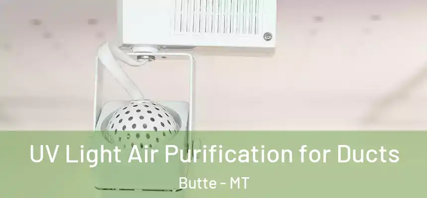  UV Light Air Purification for Ducts Butte - MT